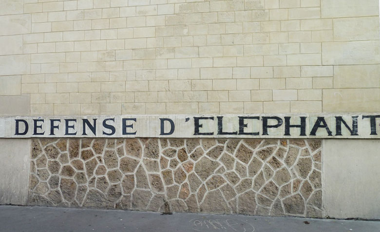 Auf einer Hauswand in der Rue Louis Blanc in Paris steht in großen schwarzen Buchstaben „Defense D’Elephant“.