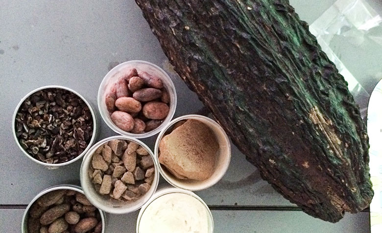 Kakaobohne und exotische Früchte in Schalen